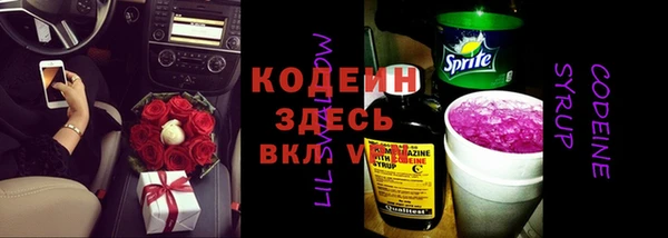 эйфоретик Аркадак