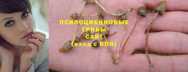 эйфоретик Аркадак